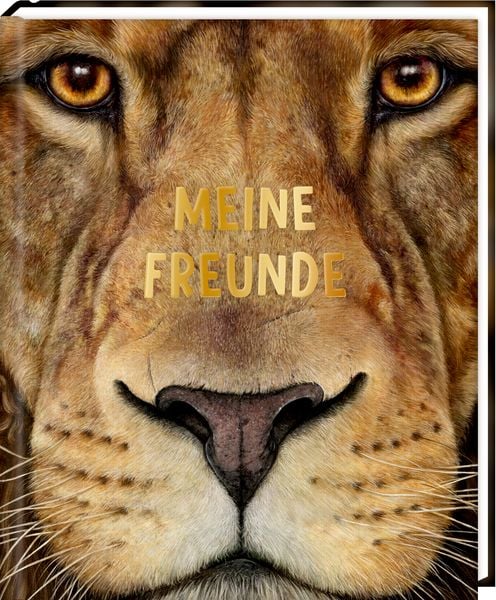 Freundebuch: Lebensgr.-Wilde Tiere Afrikas - Meine Freunde