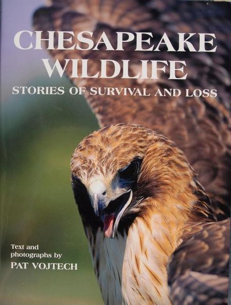 Produktbild: Chesapeake Wildlife