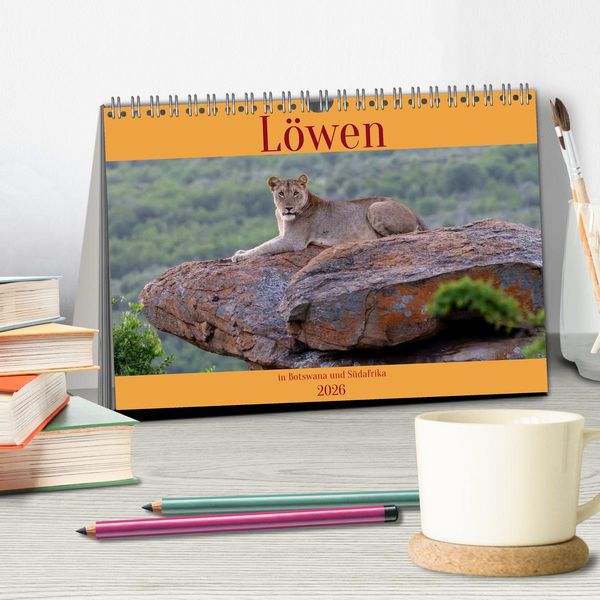 Produktbild: L&ouml;wen in Botswana und S&uuml;dafrika (Tischkalender 2026 DIN A5 quer), CALVENDO Monatskalender