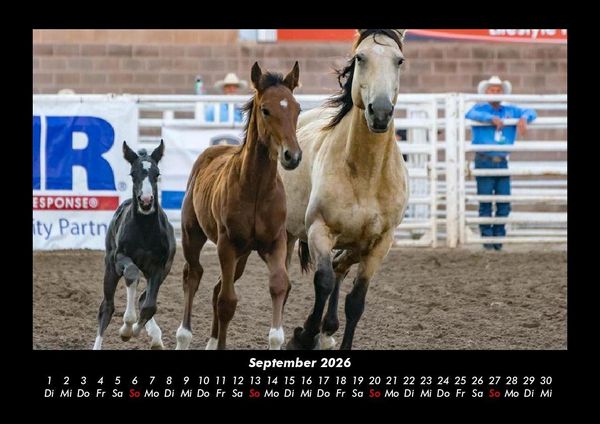 Produktbild: Die Welt der Pferde 2026 Fotokalender DIN A3
