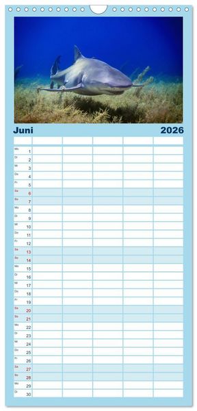 Produktbild: Familienplaner 2026 - Haie - K&ouml;nige der Meere. mit 5 Spalten (Wandkalender, 21 x 45 cm) CALVENDO