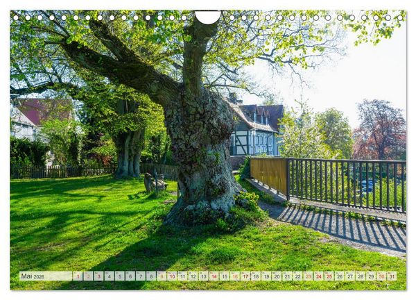 Produktbild: Frankenberg Hessen Impressionen (Wandkalender 2026 DIN A4 quer), CALVENDO Monatskalender