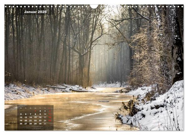Produktbild: Zauberhafte Waldlandschaften (Wandkalender 2026 DIN A3 quer), CALVENDO Monatskalender