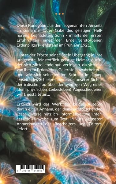 Produktbild: F&uuml;hrung einer Seele im Jenseits