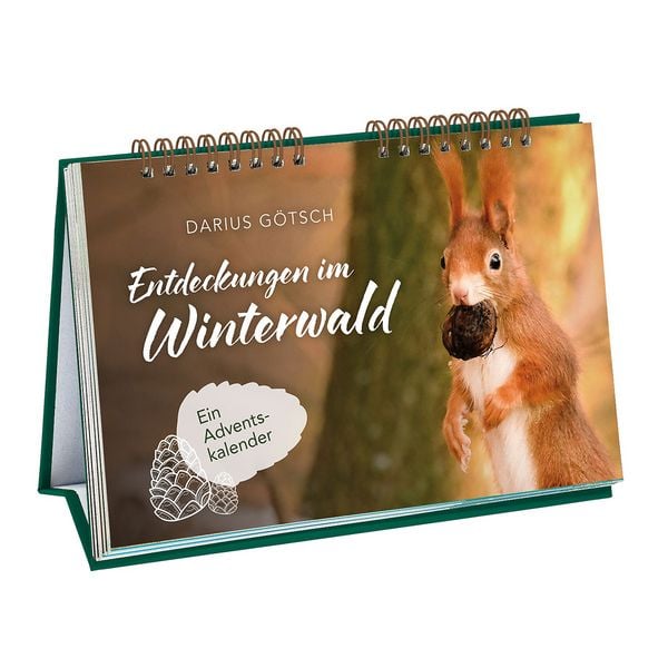 Produktbild: Entdeckungen im Winterwald