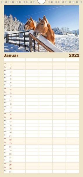 Produktbild: Familienplaner Pferde und Ponys im Paradies (Wandkalender 2022 , 21 cm x 45 cm, hoch)