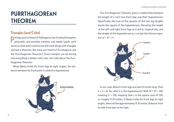 Produktbild: Math Cats