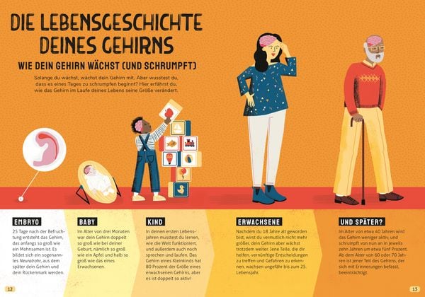 Produktbild: In den Kopf geschaut &ndash; Was das Gehirn alles kann