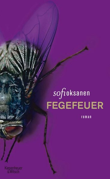 Produktbild: Fegefeuer