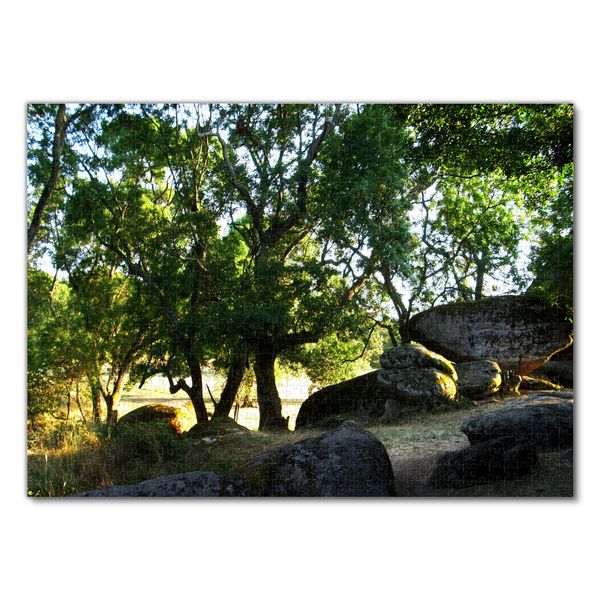 Produktbild: Lais Puzzle Felsen Natur 1000 Teile