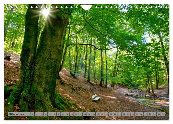 Produktbild: Streifzug durch Ostwestfalen (Wandkalender 2026 DIN A4 quer), CALVENDO Monatskalender