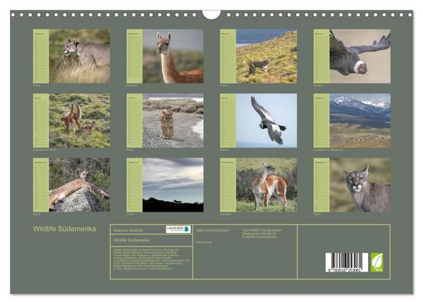 Produktbild: Wildlife S&uuml;damerika (Wandkalender 2026 DIN A3 quer), CALVENDO Monatskalender