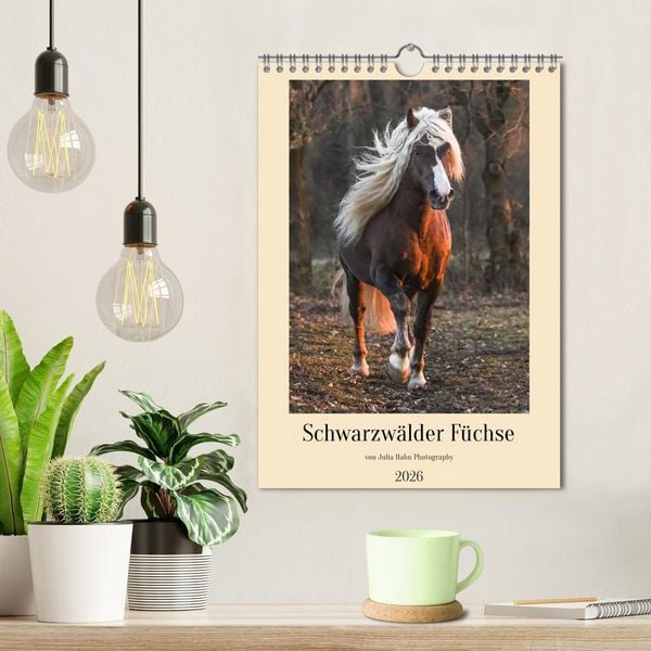Produktbild: Schwarzw&auml;lder F&uuml;chse von Julia Hahn Photography (Wandkalender 2026 DIN A4 hoch), CALVENDO Monatskalender