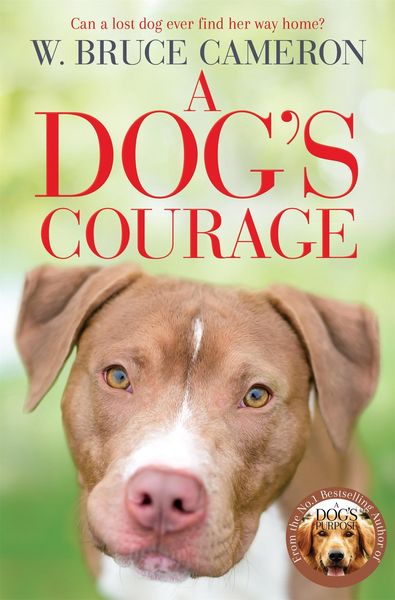Produktbild: A Dog's Courage