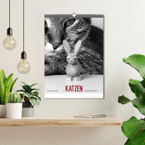 Produktbild: Sonja Heller Katzen in SW-Portraits (Wandkalender 2026 DIN A3 hoch), CALVENDO Monatskalender