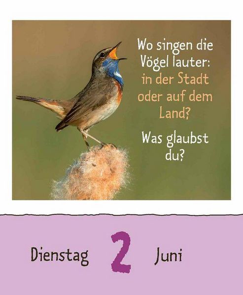 Produktbild: Wie faul ist das Faultier? 2026