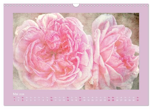 Produktbild: Romantische Rosen (Wandkalender 2026 DIN A3 quer), CALVENDO Monatskalender