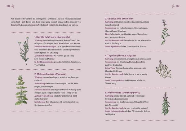 Produktbild: Herbal Healing &ndash; Medizin aus der Natur