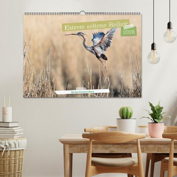 Produktbild: Extrem seltene Reiher (Wandkalender 2026 DIN A2 quer), CALVENDO Monatskalender