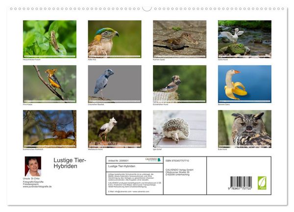 Produktbild: Lustige Tier-Hybriden (hochwertiger Premium Wandkalender 2026 DIN A2 quer), Kunstdruck in Hochglanz