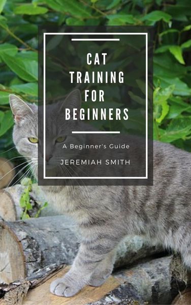 Produktbild: Cat Training For Beginners