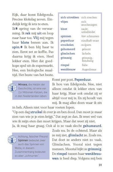 Produktbild: Een zomer in Amsterdam