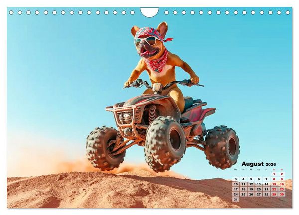 Produktbild: S&uuml;&szlig;e Hunde cruisen - durch das Jahr mit dem Hundekalender (Wandkalender 2026 DIN A4 quer), CALVENDO Monatskalender