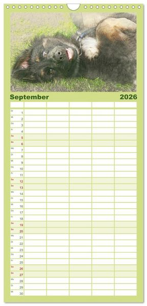 Produktbild: Familienplaner 2026 - Hundewelpen 2026 mit 5 Spalten (Wandkalender, 21 x 45 cm) CALVENDO