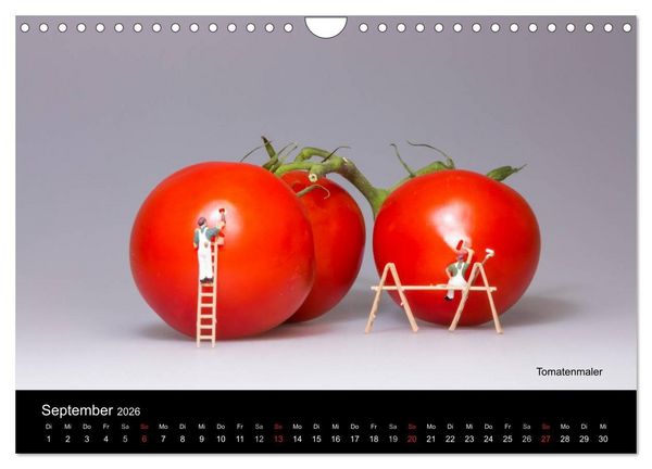 Produktbild: Tomatenmaler ... und andere Mini-Welten (Wandkalender 2026 DIN A4 quer), CALVENDO Monatskalender