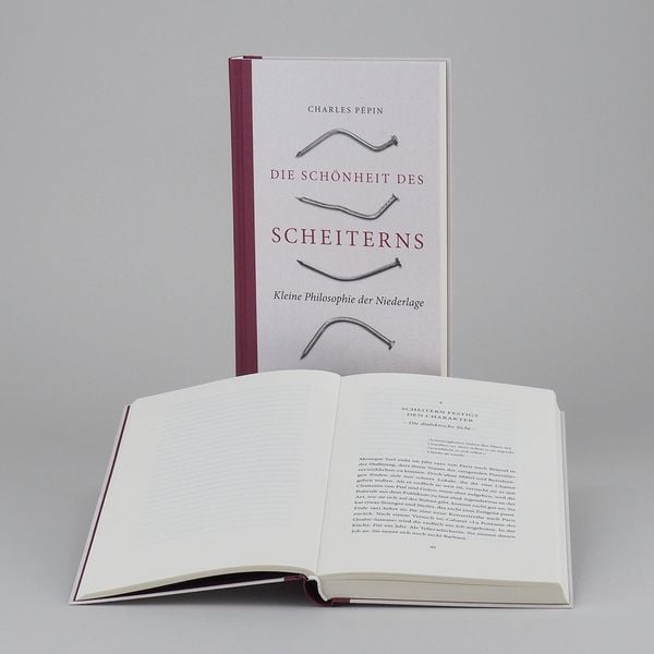 Produktbild: Die Sch&ouml;nheit des Scheiterns