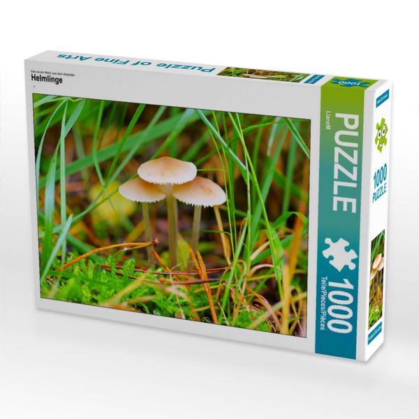 Produktbild: CALVENDO Puzzle Helmlinge | 1000 Teile Lege-Gr&ouml;&szlig;e 64x48cm Foto-Puzzle f&uuml;r gl&uuml;ckliche Stunden