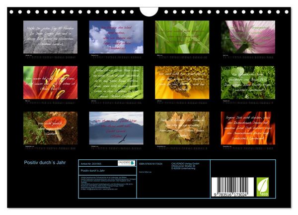Produktbild: Positiv durch&acute;s Jahr (Wandkalender 2026 DIN A4 quer), CALVENDO Monatskalender