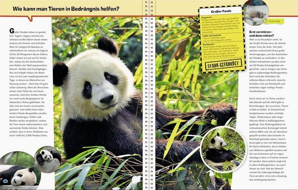 Produktbild: Kienle, D: Bedrohte Tiere