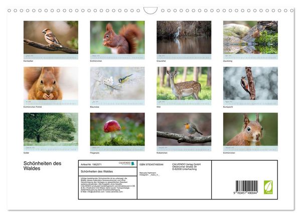 Produktbild: Sch&ouml;nheiten des Waldes (Wandkalender 2026 DIN A3 quer), CALVENDO Monatskalender