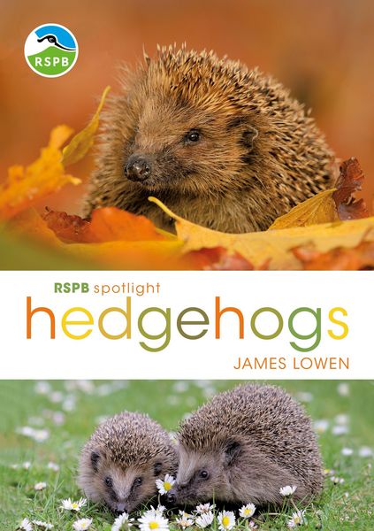 Produktbild: RSPB Spotlight Hedgehogs