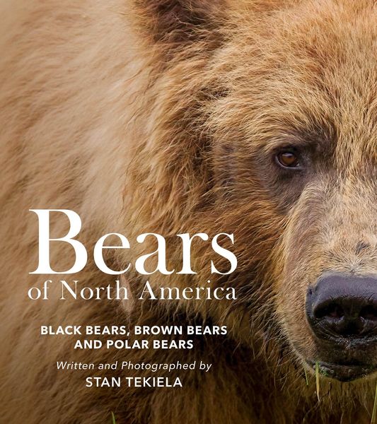 Produktbild: Bears of North America