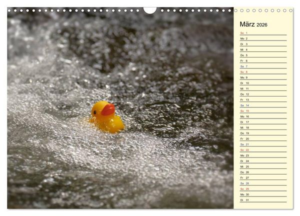 Produktbild: Enten-Rennen (Wandkalender 2026 DIN A3 quer), CALVENDO Monatskalender
