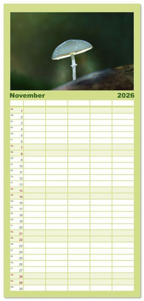 Produktbild: Familienplaner 2026 - Wundersame Pilzwelten mit 5 Spalten (Wandkalender, 21 x 45 cm) CALVENDO