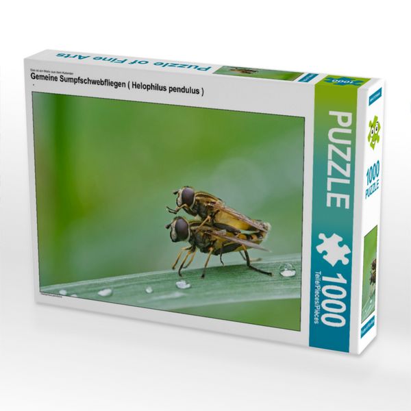 Produktbild: CALVENDO Puzzle Gemeine Sumpfschwebfliegen ( Helophilus pendulus ) | 1000 Teile Lege-Gr&ouml;&szlig;e 64x48cm Foto-Puzzle f&uuml;r gl&uuml;ckliche Stunden