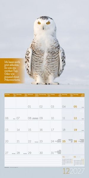 Produktbild: Keep Smiling Kalender 2027 - 30x30 - Art12