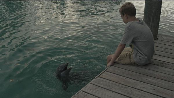 Produktbild: Echo, der Delphin - Eine Freundschaft f&uuml;rs Leben