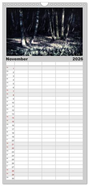 Produktbild: Familienplaner 2026 - Mystische W&auml;lder mit 5 Spalten (Wandkalender, 21 x 45 cm) CALVENDO