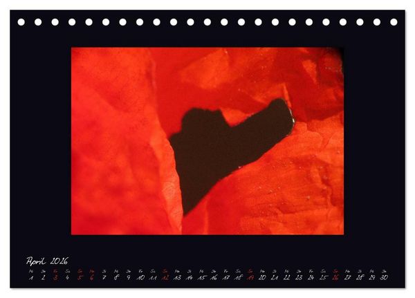Produktbild: MOHNographie (Tischkalender 2026 DIN A5 quer), CALVENDO Monatskalender