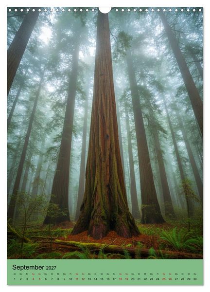 Produktbild: Sequoia Giganten (Wandkalender 2027 DIN A3 hoch), CALVENDO Monatskalender
