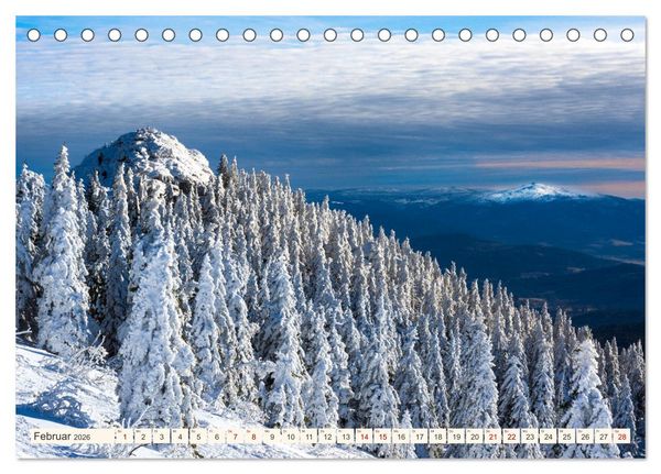 Produktbild: Im Zauber der W&auml;lder (Tischkalender 2026 DIN A5 quer), CALVENDO Monatskalender