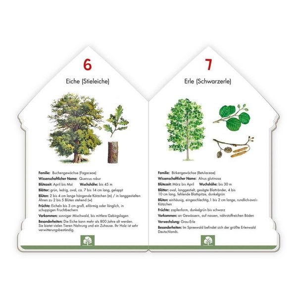 Produktbild: Tr&ouml;tsch Sachbuch 101 heimische Pflanzen, die du kennen solltest