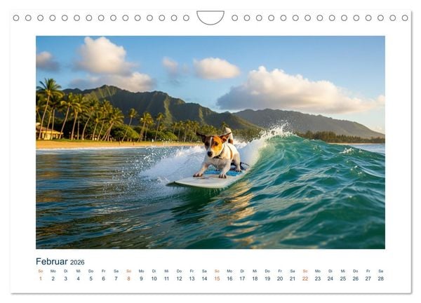 Produktbild: Jack Russel Active (Wandkalender 2026 DIN A4 quer), CALVENDO Monatskalender