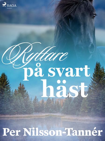 Produktbild: Ryttare p&aring; svart h&auml;st