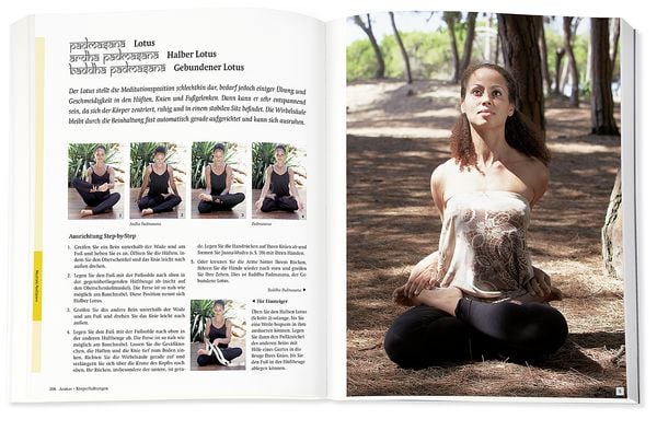 Produktbild: Yoga - Das gro&szlig;e Praxisbuch f&uuml;r Einsteiger & Fortgeschrittene