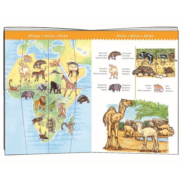 Produktbild: Wimmelpuzzle: Tiere der Erde - 100 Teile
